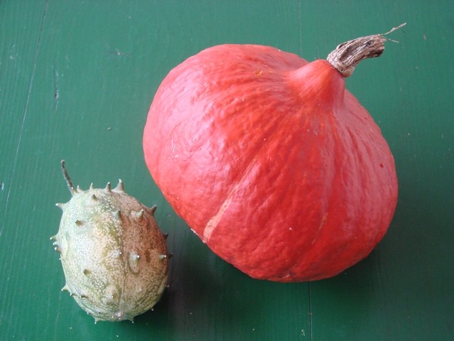 hokaido i kiwano od monstere